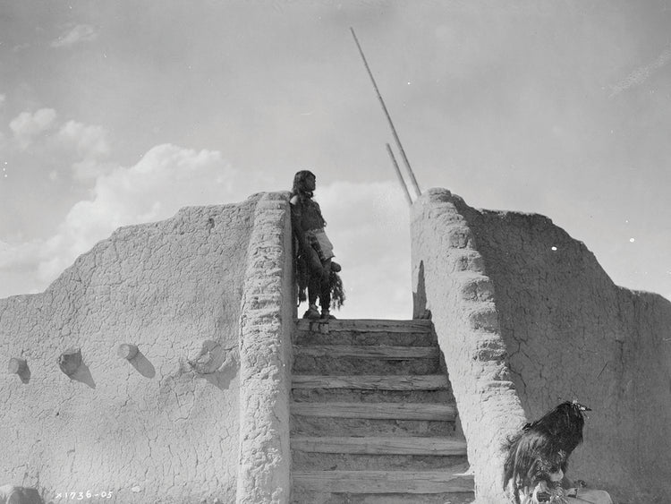 American Indian Collection 8