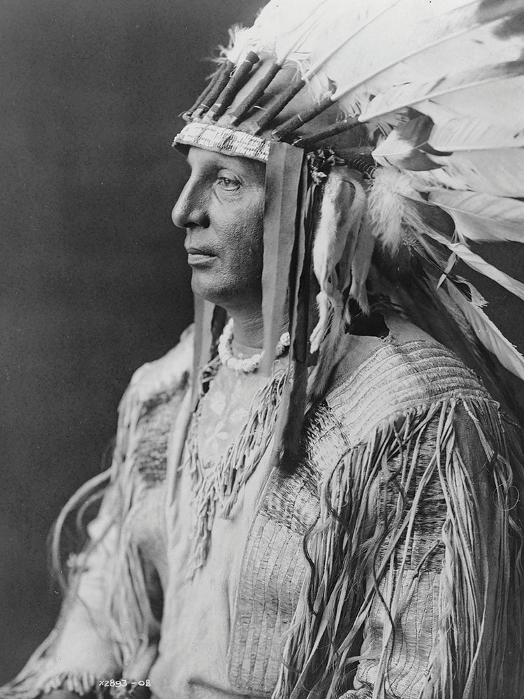 American Indian Collection 12