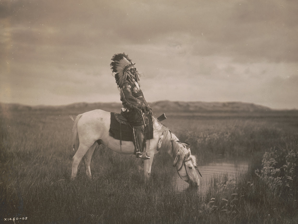 An Oasis In The Badlands