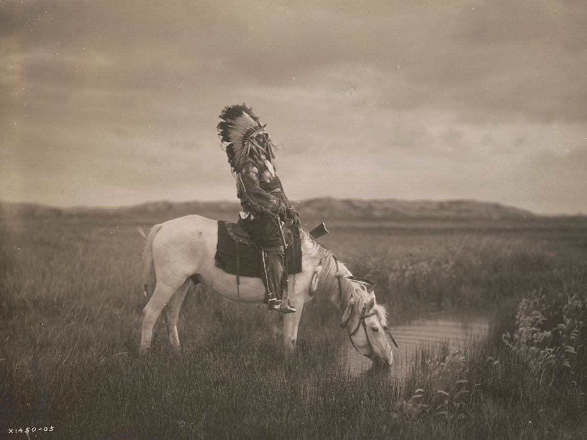 An Oasis In The Badlands