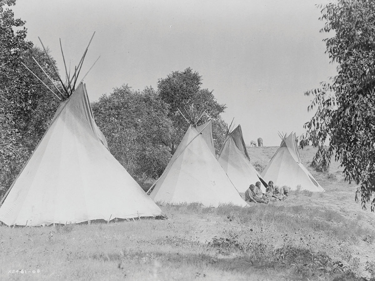 Camp life