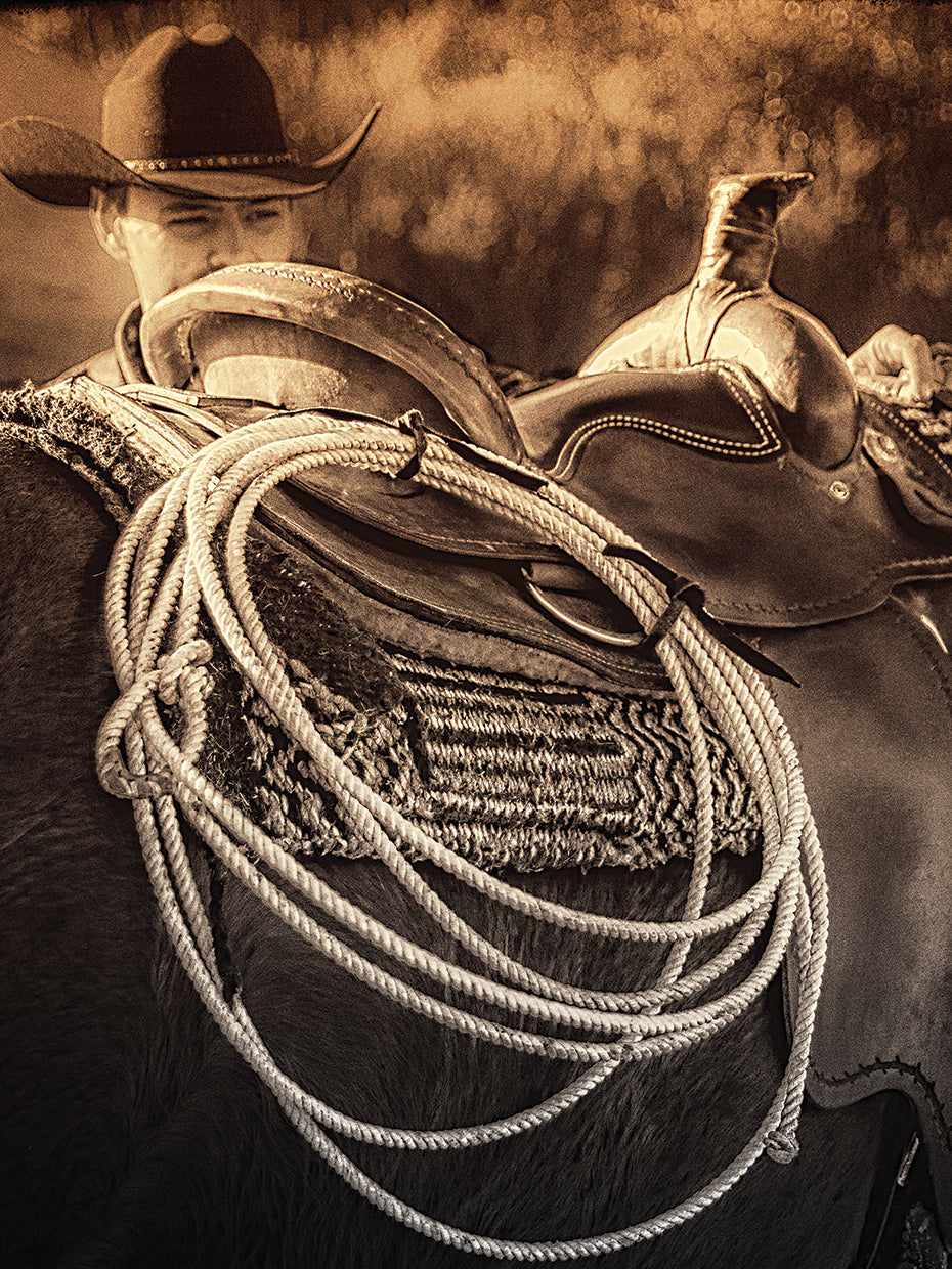 HORSE LASSO