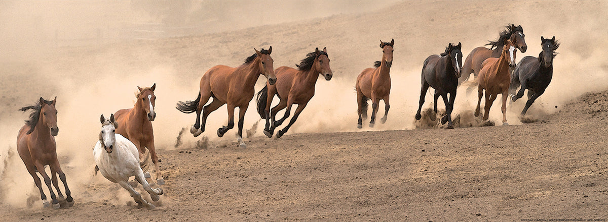RUNNING WILD