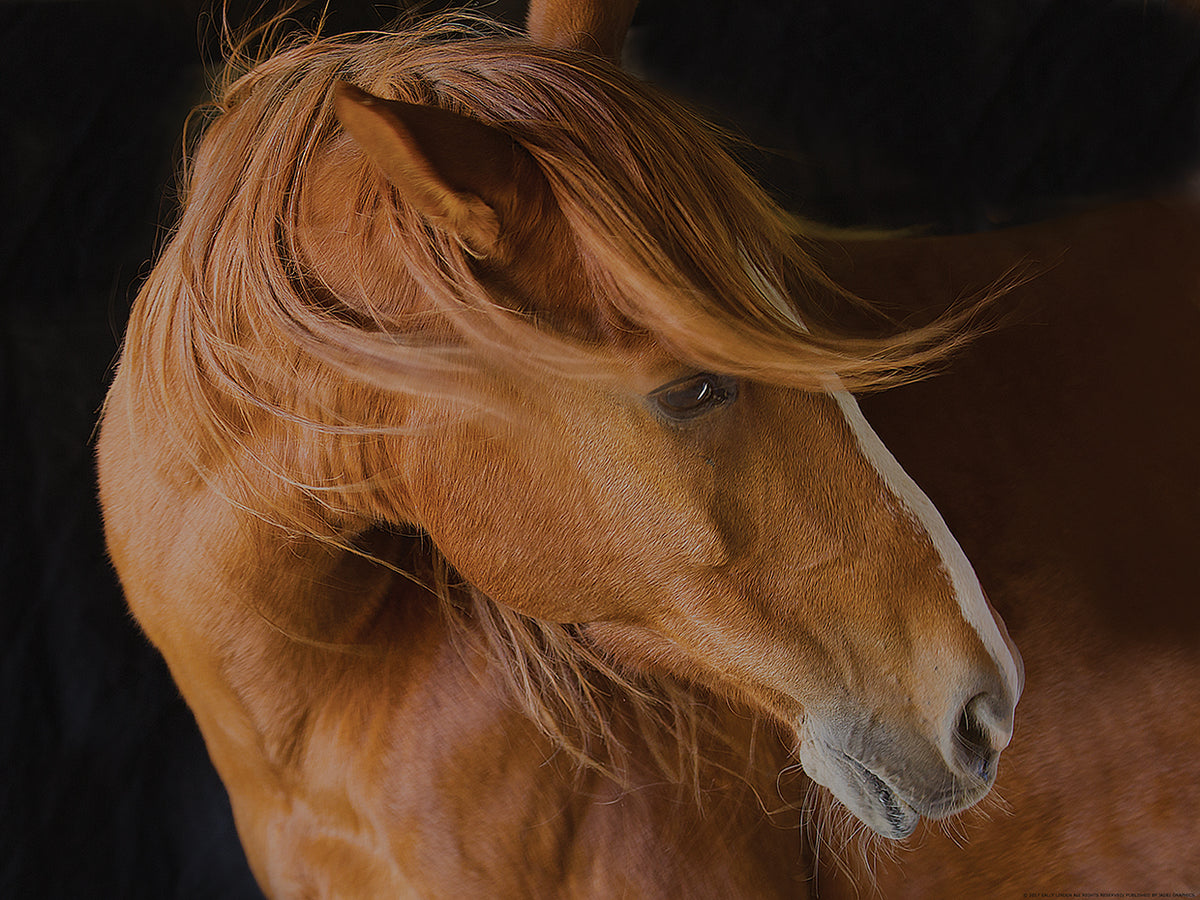 BEAUTIFIL MANE