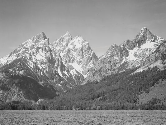 Grand Teton, Grassy Valley, Tree Covered Mountain Side And Snow Covered Peaks