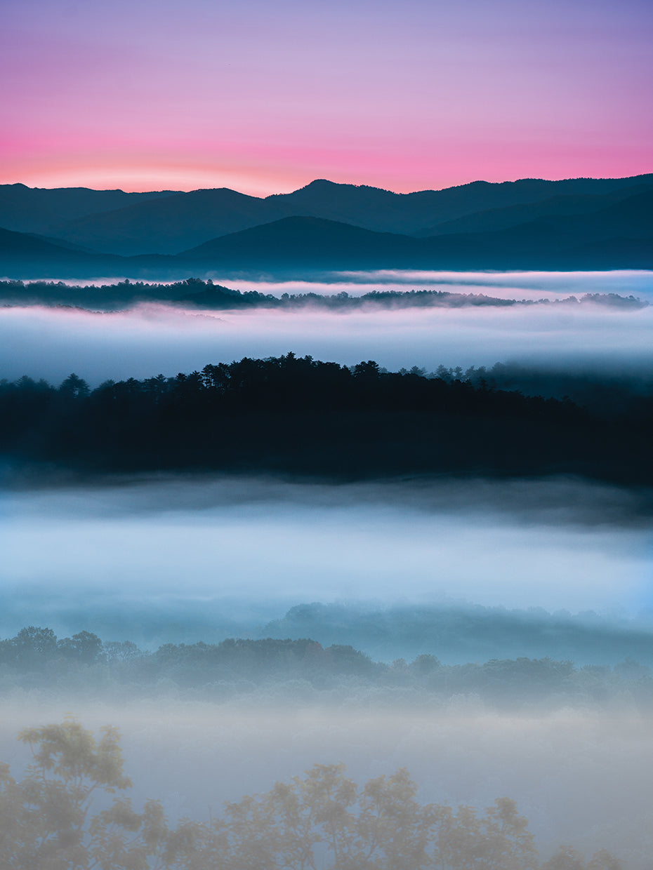 Smoky Mountain Fog