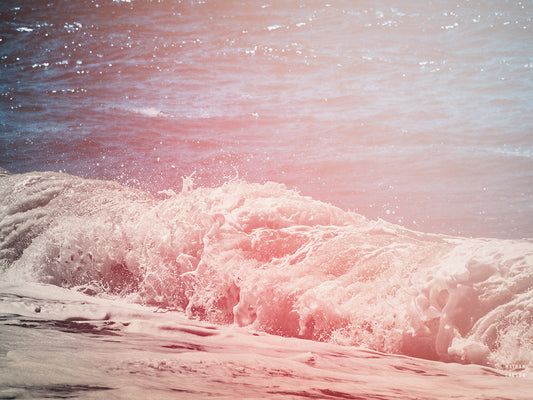 Lost Coast Waves Pink II Canvas Print
