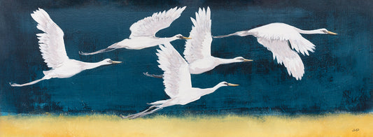 Feathered Flock II Canvas Print