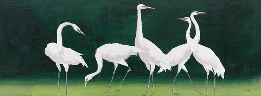 Feathered Flock I Canvas Print