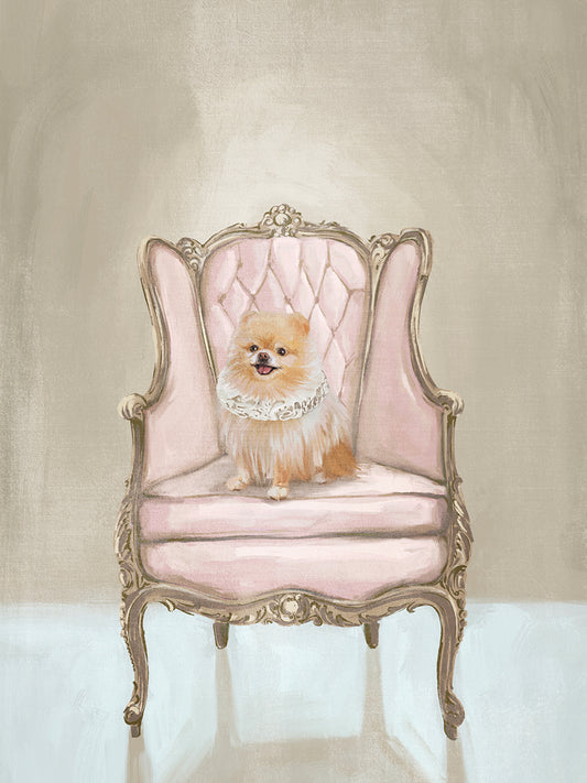 Renaissance Pom Dog on a Chair