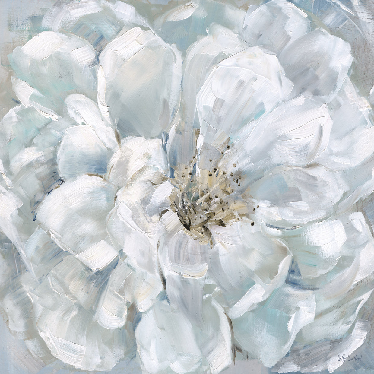 Soft Splendor