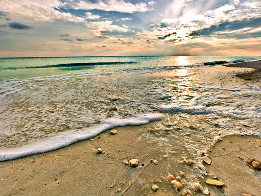 Beautiful Beach Sunset Sea Shells On Beach Picture