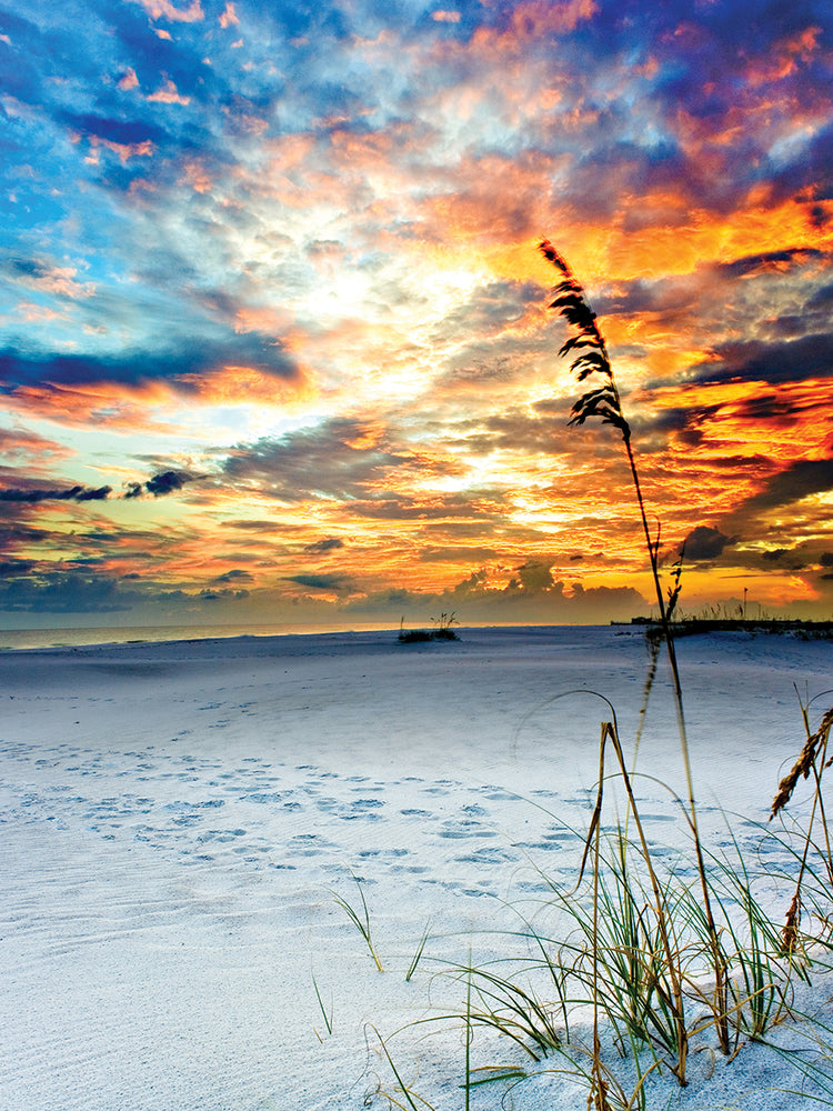 Fiery Burning Red Clouds Sunset Foot Prints Beach