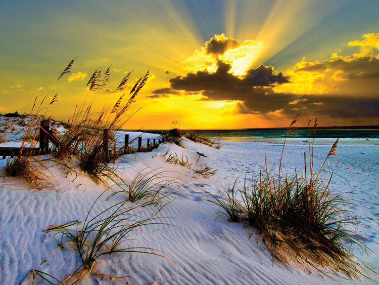 Landscape Photography Beach Golden Sunset