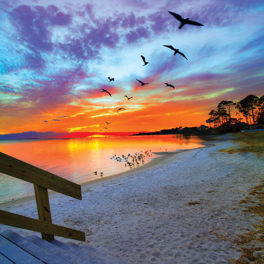Birds Soaring Orange Sunset Reflection-Sandy Shore