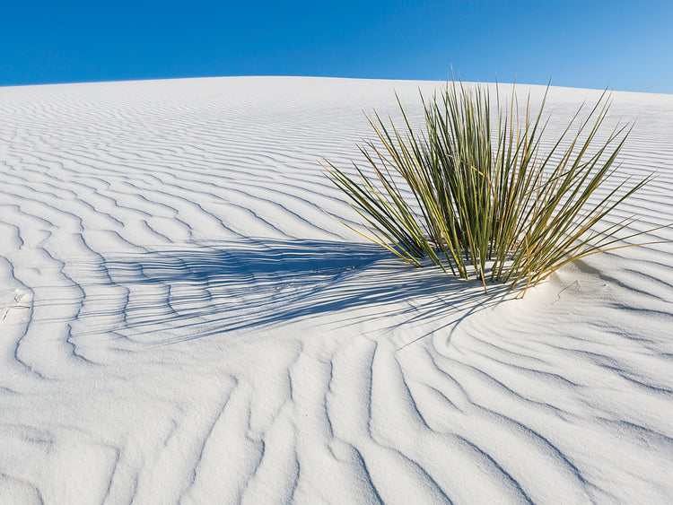 WHITE SANDS Idyllic scenery