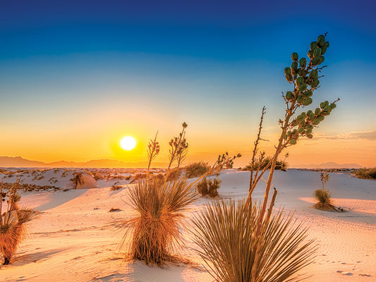 White Sands Sunset Canvas Print
