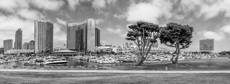 SAN DIEGO Monochrome Skyline | Embarcadero Marina Park North