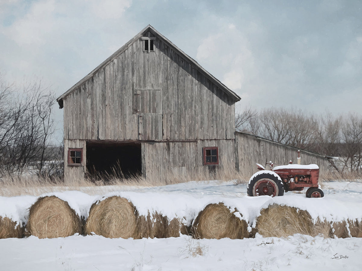 Cold Winter Day