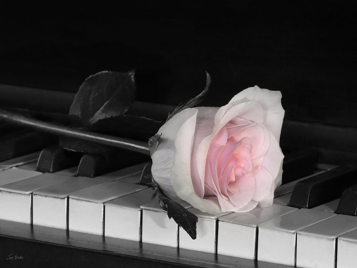 Life is a Song