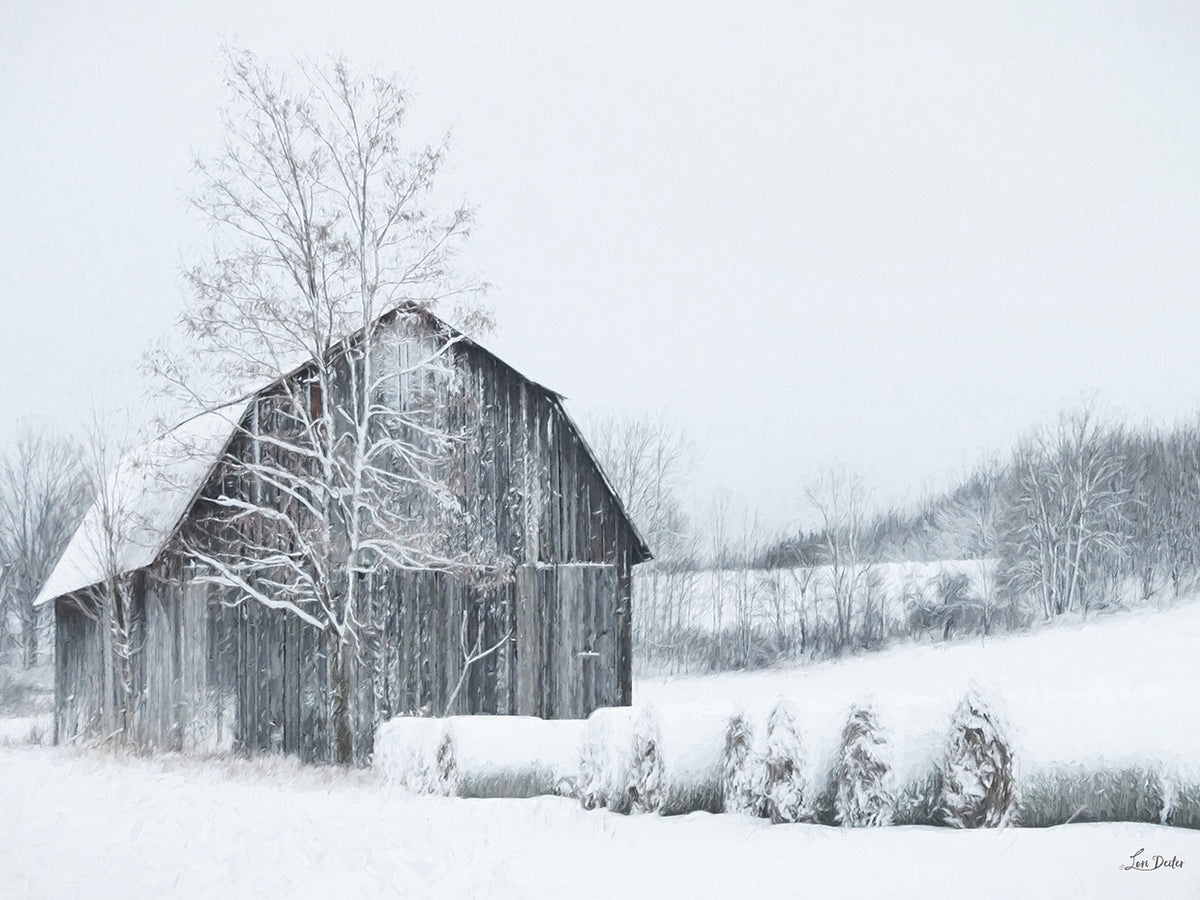 Snow Day in the Country