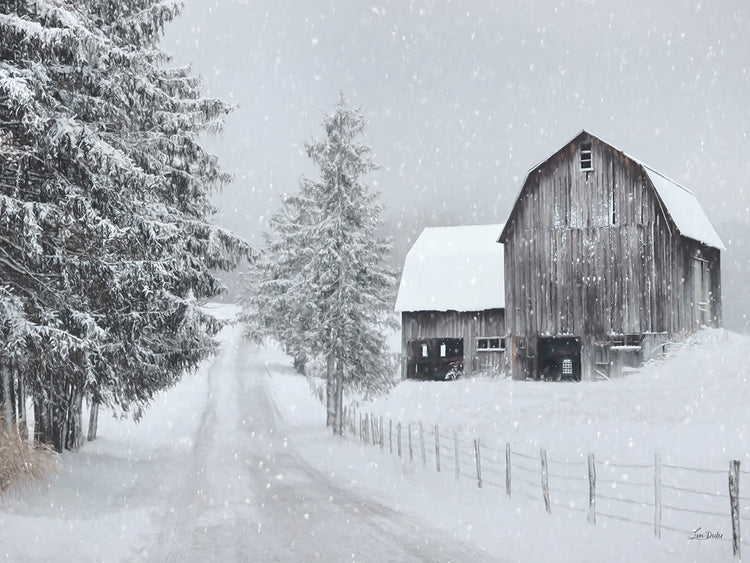 Winter Peace in the Country