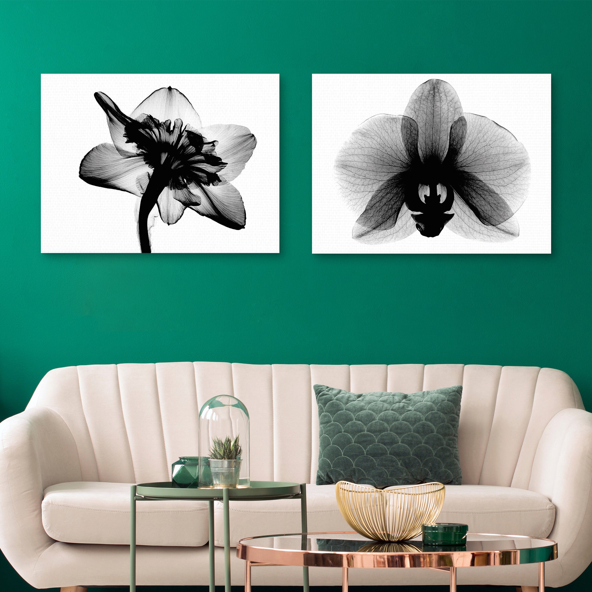 Daffodil #1 and Orchid Small X-Ray