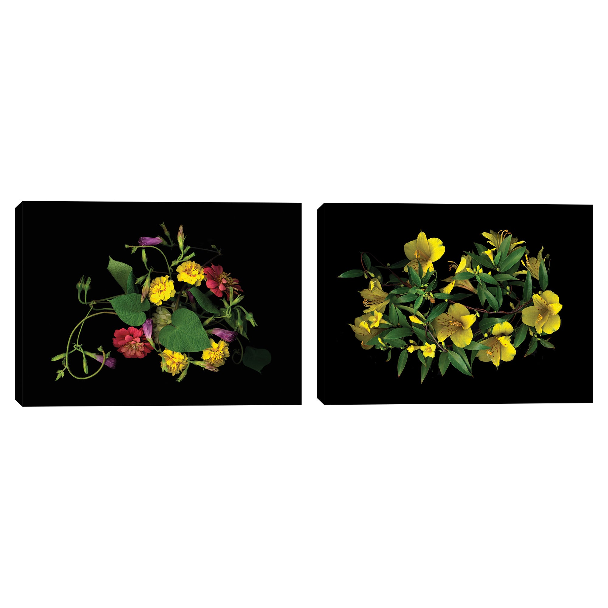 Morning Glory, Zinnia & Marigolds and Carolina Jasmine & Alstromeria