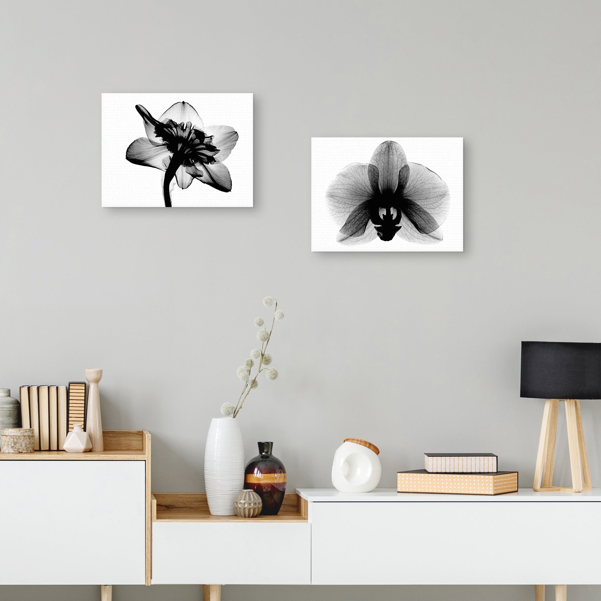 Daffodil #1 and Orchid Small X-Ray