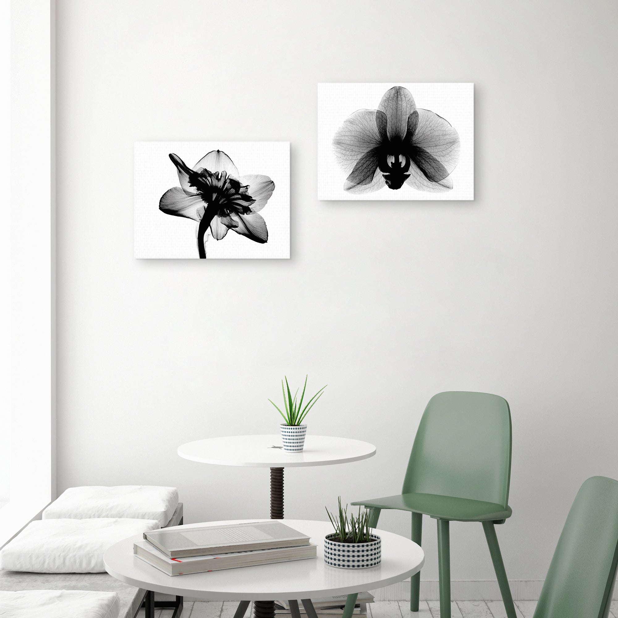 Daffodil #1 and Orchid Small X-Ray